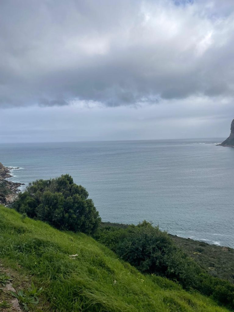 Cape Peninsula Scenic View 03