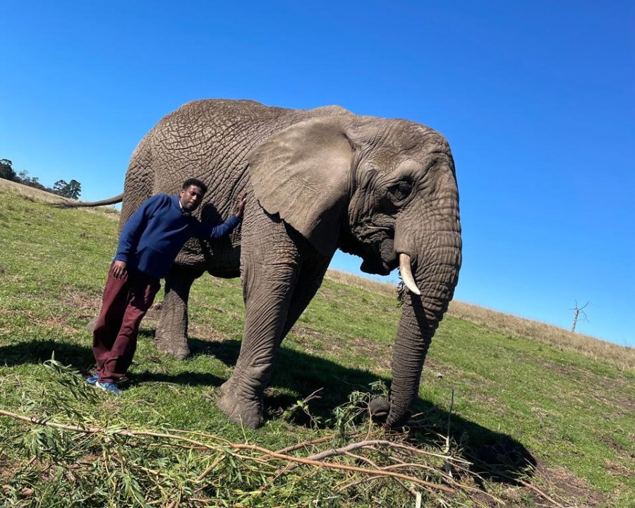 Knysna Elephant Park 06
