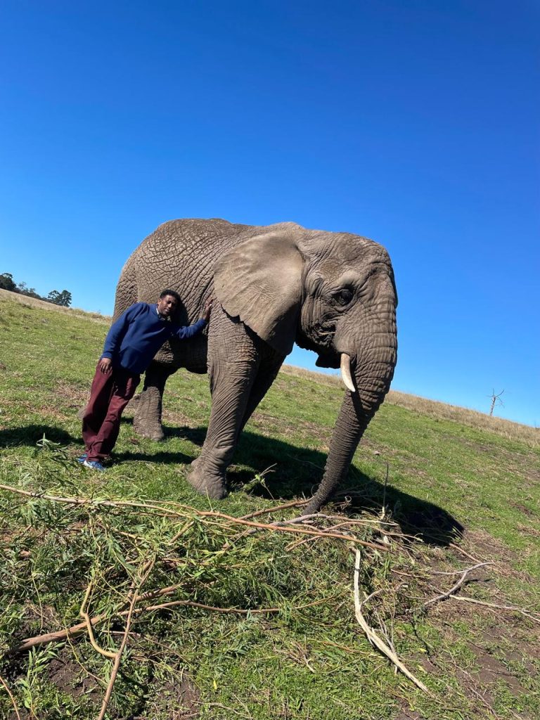 Knysna Elephant Park 07