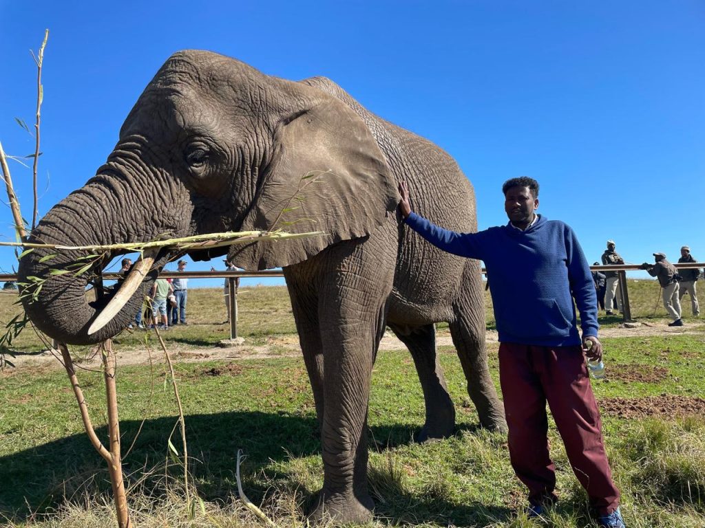 Knysna Elephant Park 08